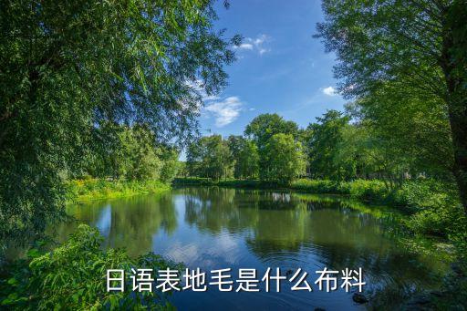 日語表地毛是什么布料