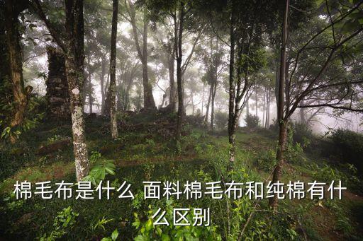 柯橋棉 麻 毛服裝面料,柯橋服裝面料市場(chǎng)在哪里