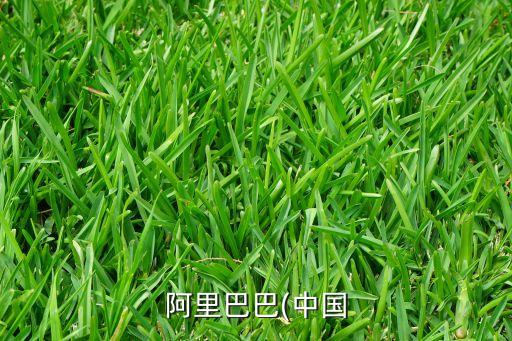 阿里巴巴(中國