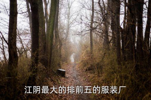 江陰最大的排前五的服裝廠