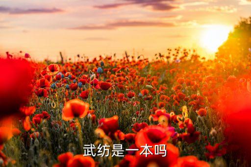 武紡是一本嗎