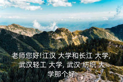 武漢紡織大學(xué)師資力量