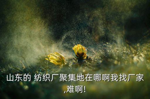 山東的 紡織廠聚集地在哪啊我找廠家,難啊!