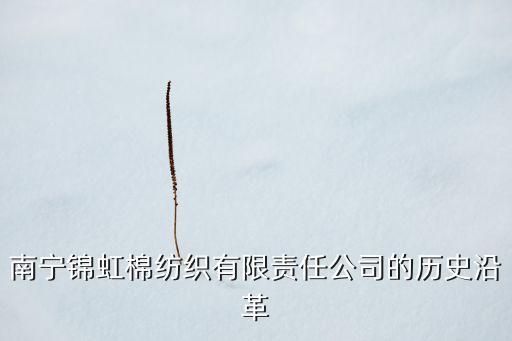 南寧錦虹棉紡織有限責任公司的歷史沿革