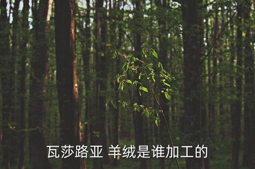 蘇州市蘭珂羊絨制品有限公司