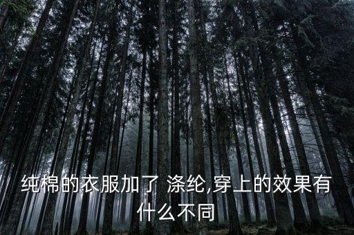 純棉的衣服加了 滌綸,穿上的效果有什么不同