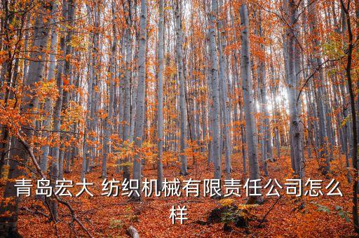 青島宏大 紡織機(jī)械有限責(zé)任公司怎么樣