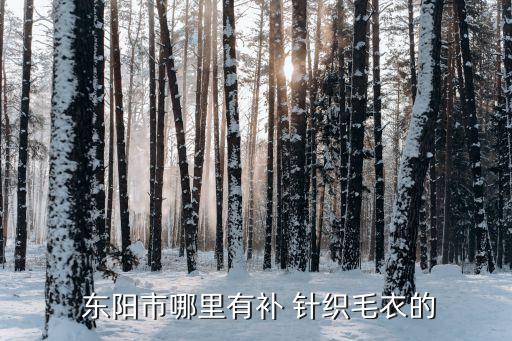  東陽市哪里有補(bǔ) 針織毛衣的