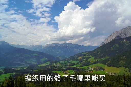 編織用的貉子毛哪里能買