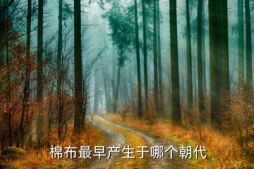 中國(guó)紡織棉布,中國(guó)什么時(shí)候開(kāi)始有棉布