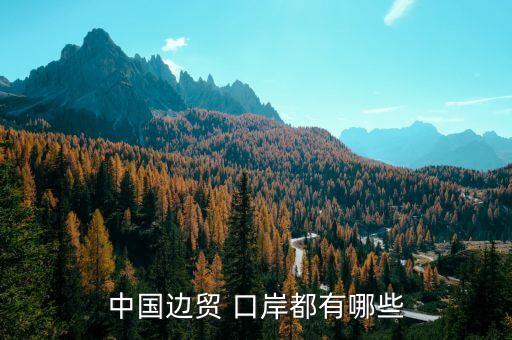 中國邊貿(mào) 口岸都有哪些