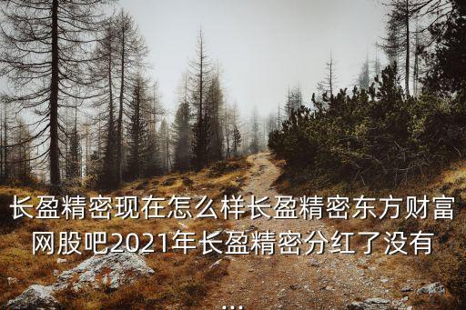 長(zhǎng)盈精密現(xiàn)在怎么樣長(zhǎng)盈精密東方財(cái)富網(wǎng)股吧2021年長(zhǎng)盈精密分紅了沒有...