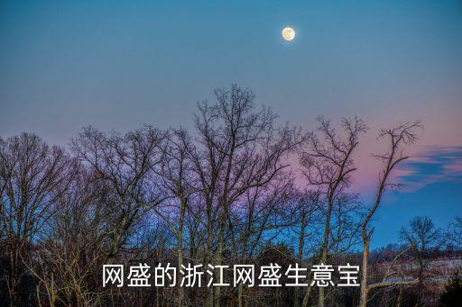 網(wǎng)盛的浙江網(wǎng)盛生意寶