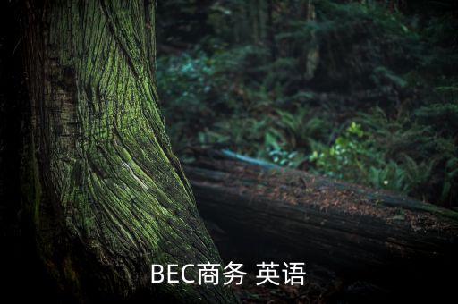 BEC商務(wù) 英語