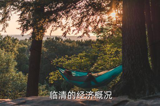  臨清的經(jīng)濟概況