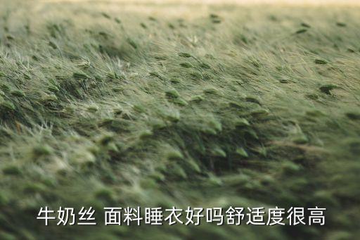 牛奶絲面料群子,復(fù)合牛奶絲面料