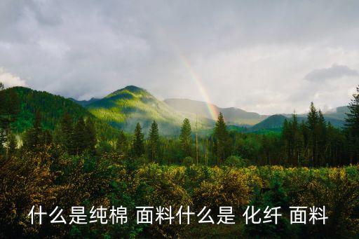 紡織面料編碼 化纖部分,化纖占紡織面料的90%以上