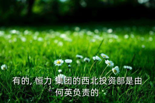 有的, 恒力 集團的西北投資部是由何英負(fù)責(zé)的