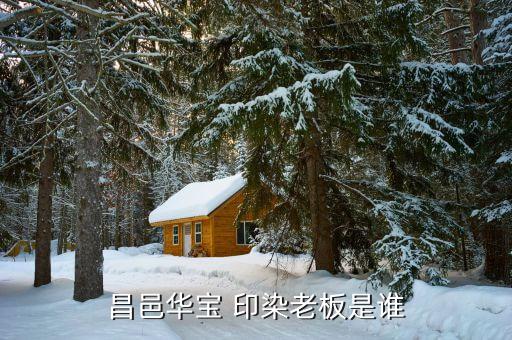 昌邑華寶 印染老板是誰