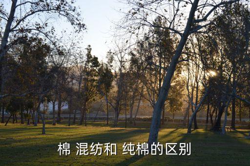 純棉混紡是什么面料,混紡磨毛面料和純棉哪個好