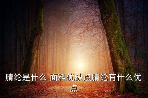 腈綸是什么 面料優(yōu)缺點(diǎn)腈綸有什么優(yōu)點(diǎn)