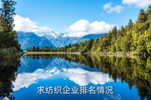 求紡織企業(yè)排名情況