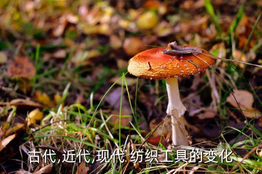 紡織機(jī)器,世界最先進(jìn)的紡織機(jī)器