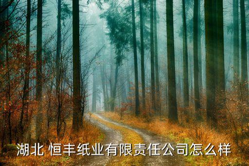 湖北 恒豐紙業(yè)有限責(zé)任公司怎么樣