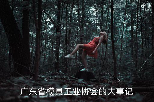 廣東省模具工業(yè)協(xié)會(huì)的大事記