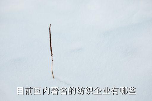 目前國內(nèi)著名的紡織企業(yè)有哪些