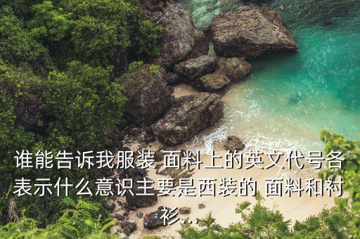 誰能告訴我服裝 面料上的英文代號(hào)各表示什么意識(shí)主要是西裝的 面料和襯衫...