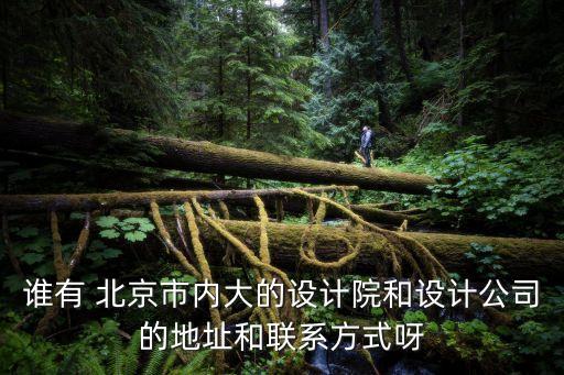 誰有 北京市內(nèi)大的設(shè)計(jì)院和設(shè)計(jì)公司的地址和聯(lián)系方式呀