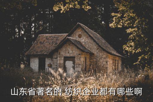 臨清市林城紡織有限公司