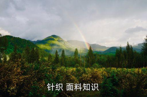 金絲提花面料