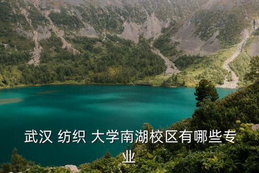  武漢 紡織 大學(xué)南湖校區(qū)有哪些專(zhuān)業(yè)