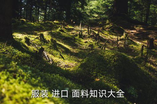 服裝 進口 面料知識大全