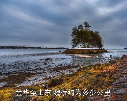 金華至山東 魏橋約為多少公里