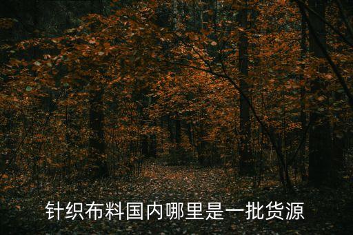 針織布料國內(nèi)哪里是一批貨源