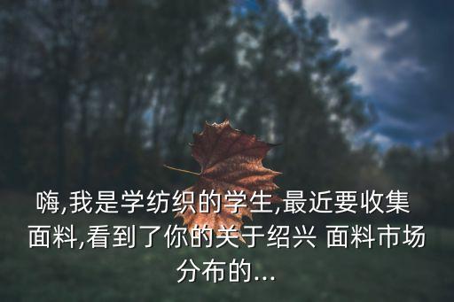 嗨,我是學(xué)紡織的學(xué)生,最近要收集 面料,看到了你的關(guān)于紹興 面料市場分布的...