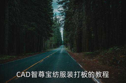 紡織cad 軟件,CaD是什么軟件