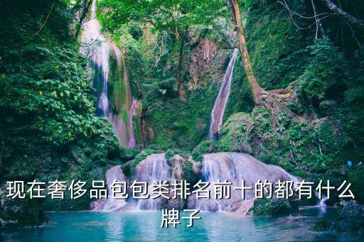 現(xiàn)在奢侈品包包類排名前十的都有什么牌子