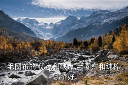 毛圈布的 優(yōu)點和缺點,毛圈布和純棉哪個好