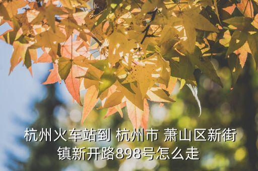  杭州火車站到 杭州市 蕭山區(qū)新街鎮(zhèn)新開路898號怎么走