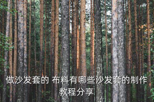 做沙發(fā)套的 布料有哪些沙發(fā)套的制作教程分享