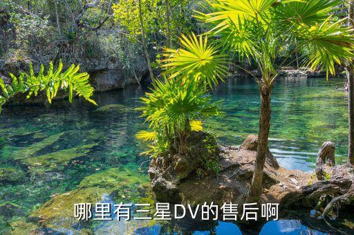 中盛麗達紡織有限公司,深圳市中盛麗達科技有限公司