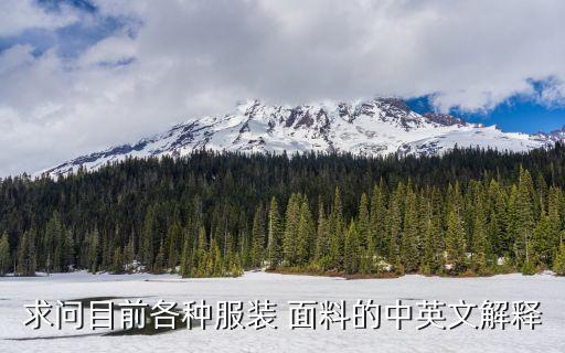 求問目前各種服裝 面料的中英文解釋