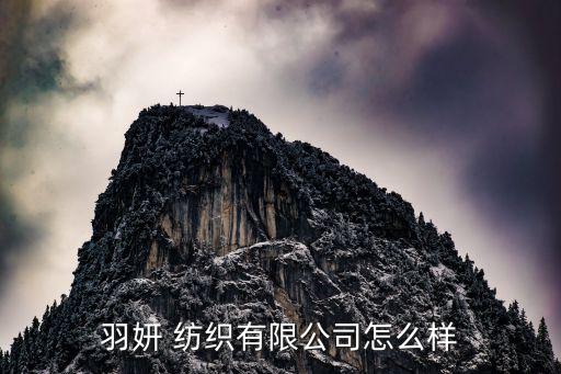羽妍 紡織有限公司怎么樣