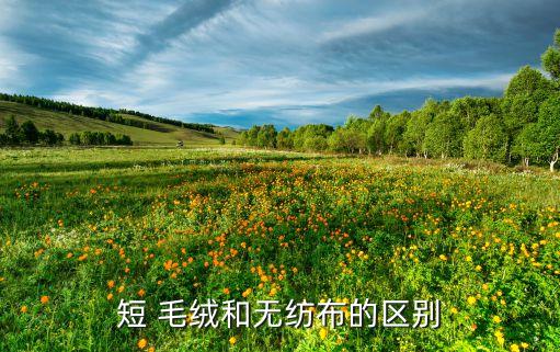 短毛絨面料優(yōu)點,超柔短毛絨是什么面料