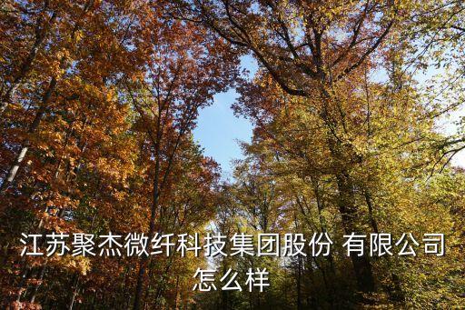 吳江佳力高纖維有限公司