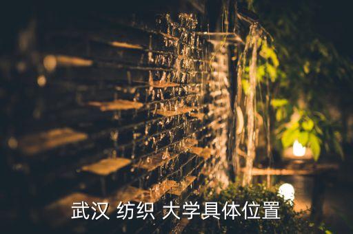 武漢 紡織 大學(xué)具體位置